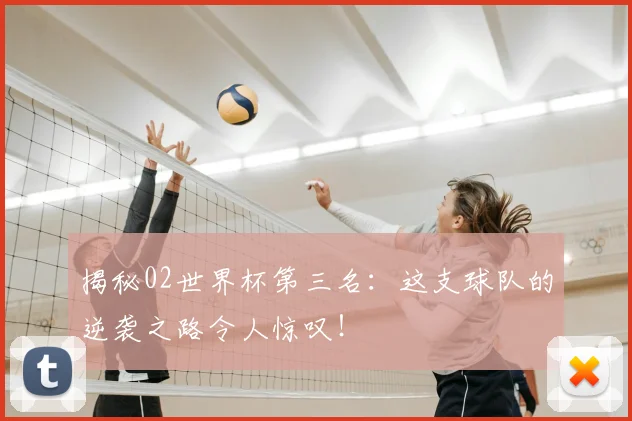 揭秘02世界杯第三名：这支球队的逆袭之路令人惊叹！