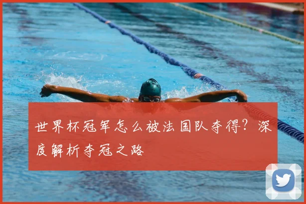 世界杯冠军怎么被法国队夺得?深度解析夺冠之路