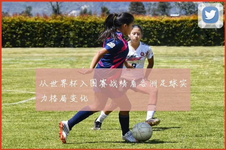 从世界杯入围赛战绩看各洲足球实力格局变化