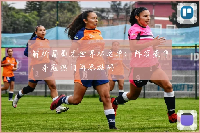 解析葡萄牙世界杯名单：阵容豪华，夺冠热门再添砝码